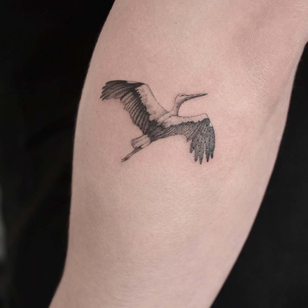 stork bird tattoo