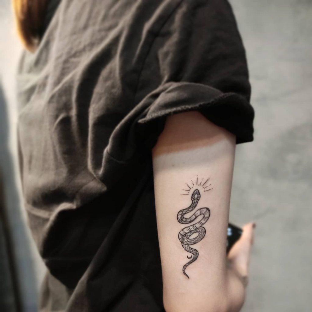 snake on the arm