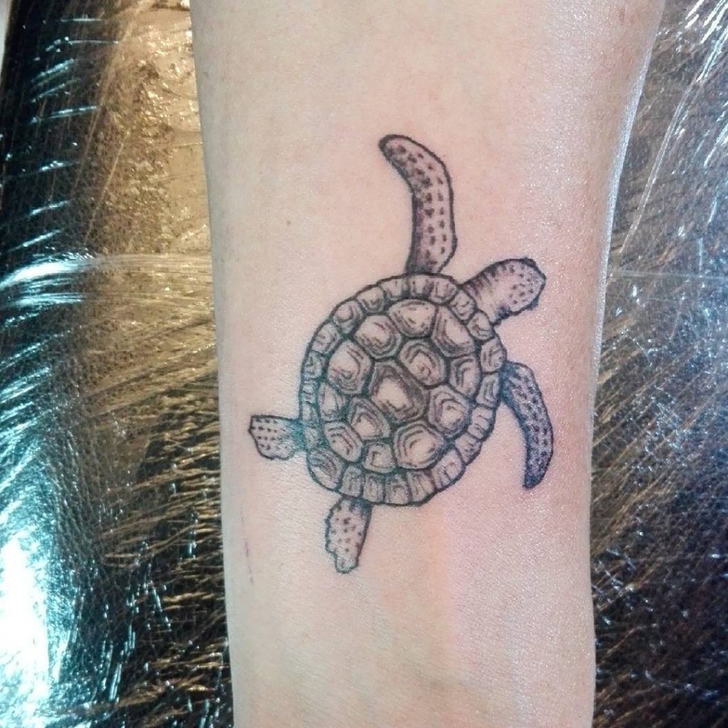 A turtle that have its arms wide open. 