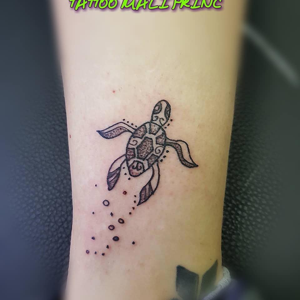 An animal in its natural habitat.